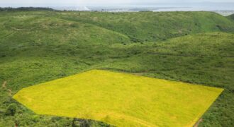 Land For Sale Next To Home Afrika