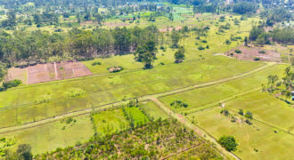 CIALA HILL VIEWS ESTATE